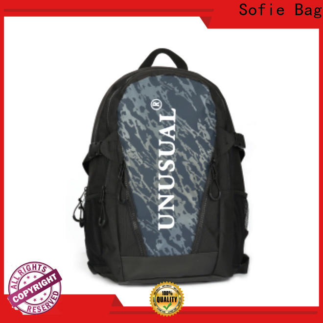large capacity casual backpack supplier for travel