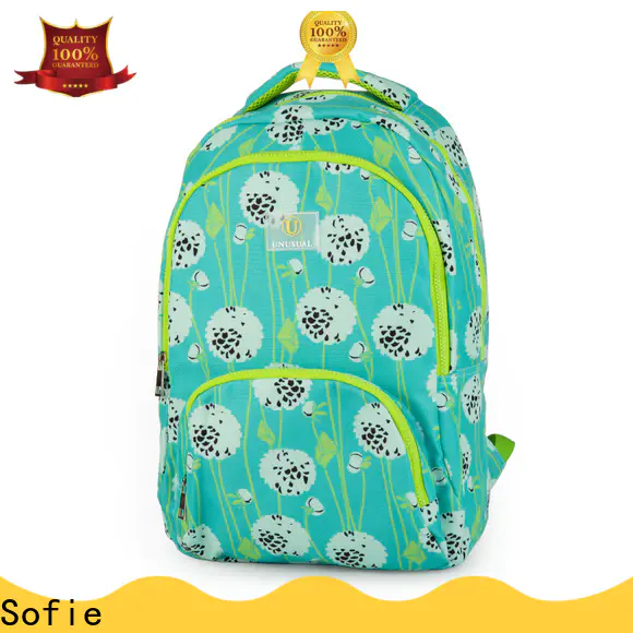 Sofie school bags for boys manufacturer for packaging