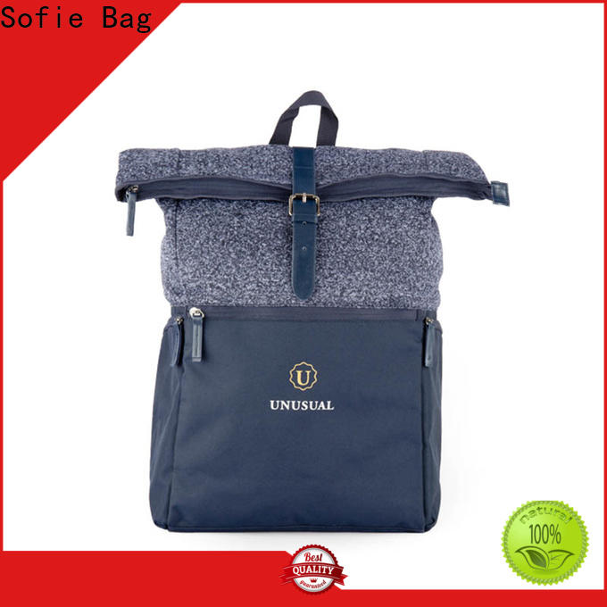 Sofie convenient stylish backpack wholesale for school
