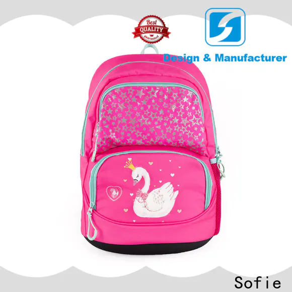 light weight school backpack wholesale for kids