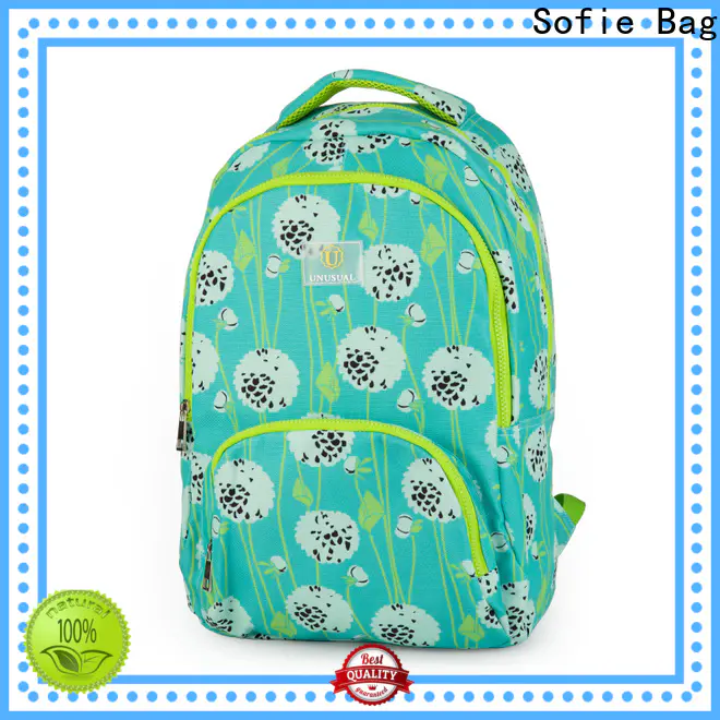 Sofie polyester school backpack series for children