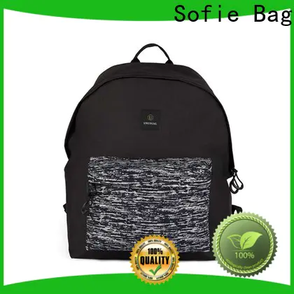 Sofie high quality laptop backpack wholesale for college
