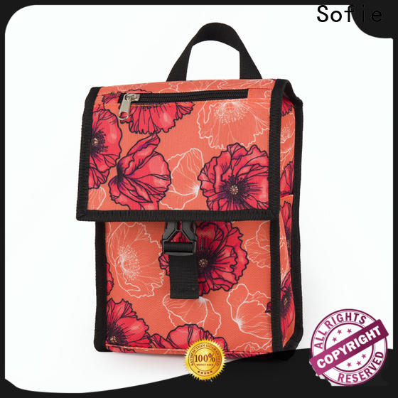 ODM insulated cooler bags with good price for students