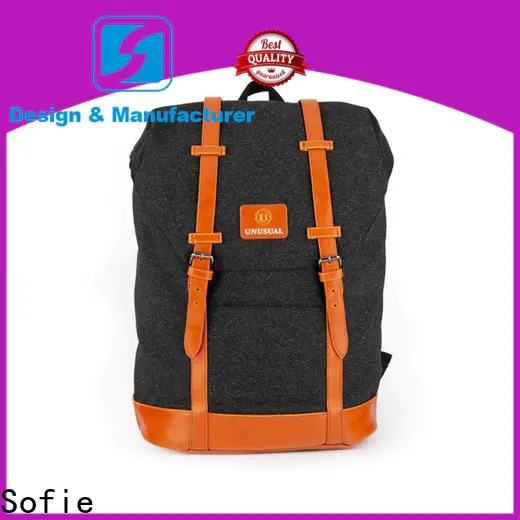 Sofie PU leather handle laptop backpack manufacturer for school