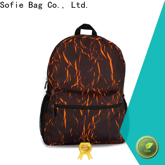 creative laptop backpack customized for school