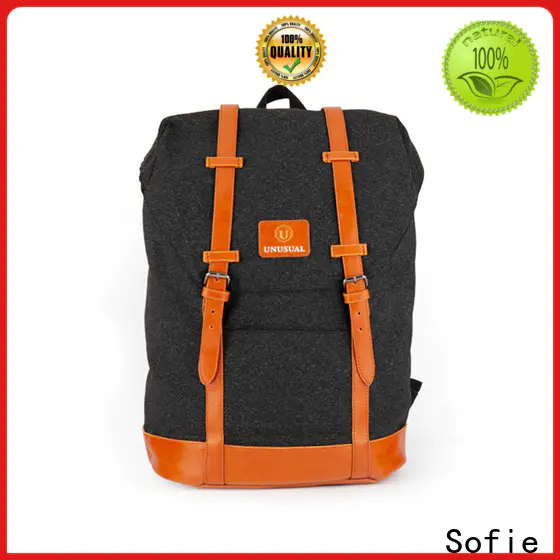 Sofie modern canvas backpack wholesale for school