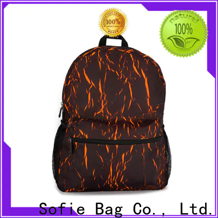 high quality laptop backpack wholesale for travel