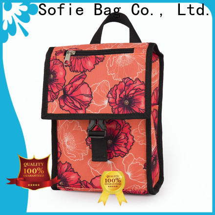 Sofie insulated cooler bags factory for kids