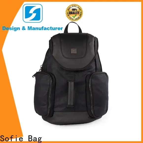 Sofie modern laptop backpack customized for business