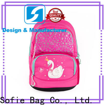 ergonomic shoulder strap school bags for kids customized for students