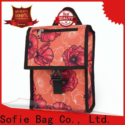 ODM insulated bag with good price for kids
