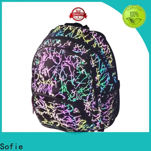 Sofie school bags for boys series for students