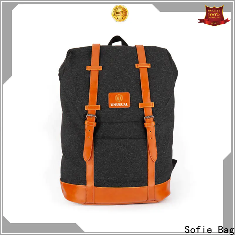Sofie two zipper side stylish backpack supplier for college