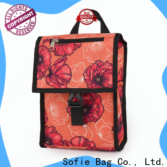 Sofie best insulated lunch bag company for kids