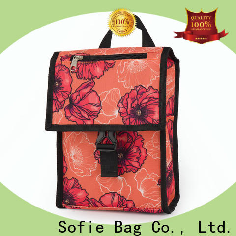 Sofie insulated cooler bags manufacturers for students