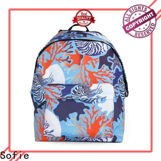 Sofie durable school bags for boys customized for students