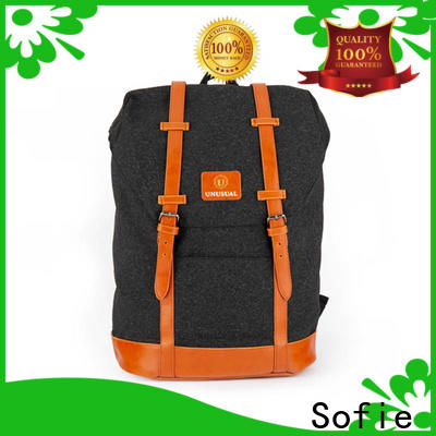Sofie stylish backpack customized for school